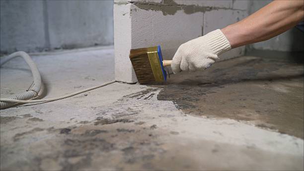24/7 Emergency Wet Basement Repair experts in Bloomville, OH